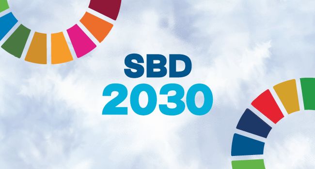 Agenda 2030